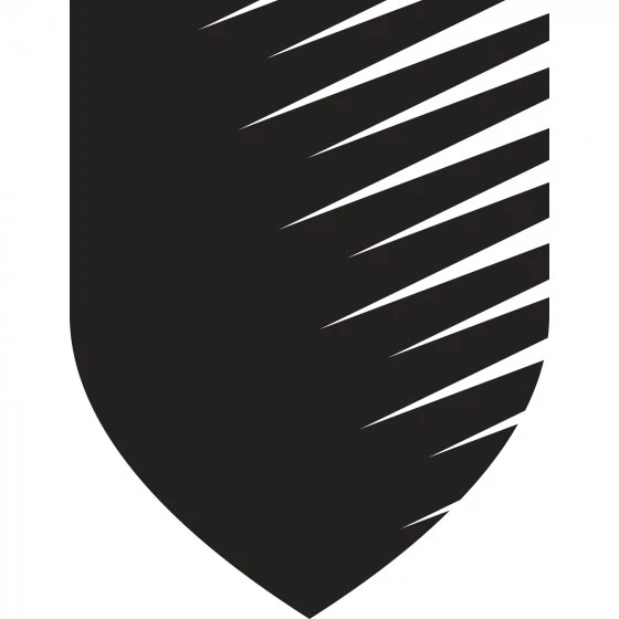 Lunettes Monobloc Polycarbonate DELTA PLUS - PACAYLVIN 4 Lunettes Monobloc Polycarbonate DELTA PLUS - PACAYLVIN – Image 2